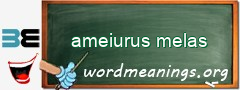 WordMeaning blackboard for ameiurus melas